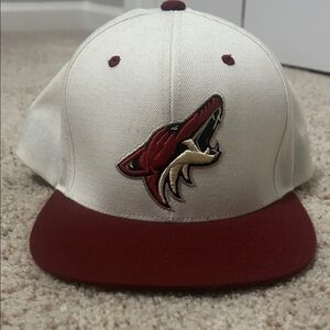 Arizona Coyotes Cap